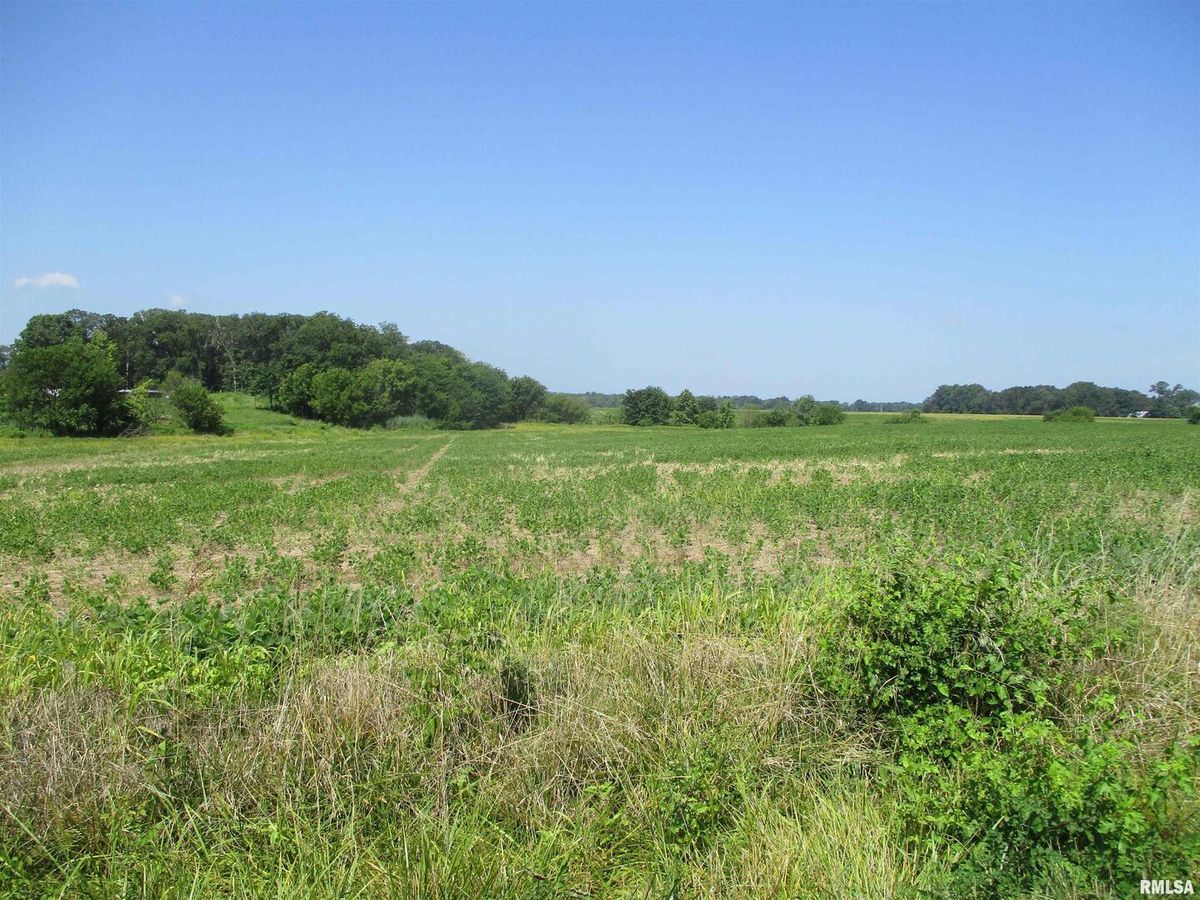 0000 Bean Road, Whittington, IL 62897