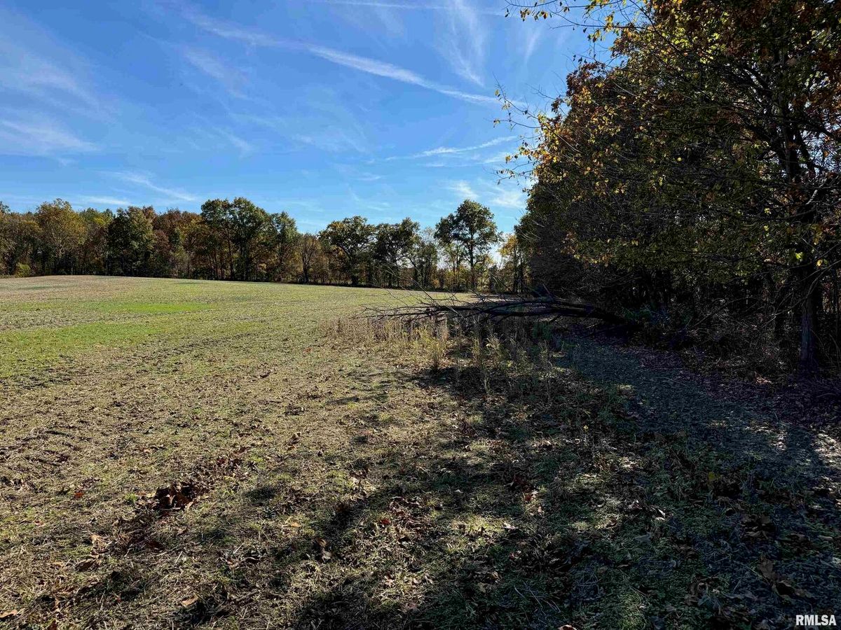 0000 Akin Road, Macedonia, IL 62860
