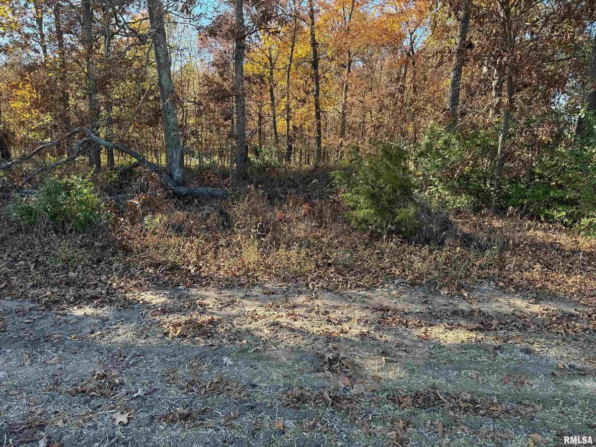 0000 Akin Road, Macedonia, IL 62860