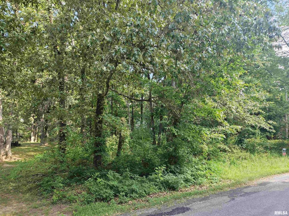 0000 White Birch Court, Benton, IL 62812