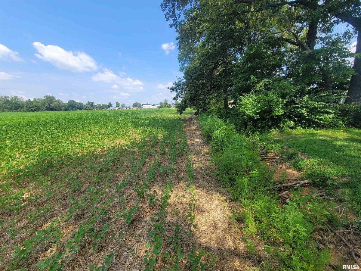 000 JACOB Street, Dahlgren, IL 62828