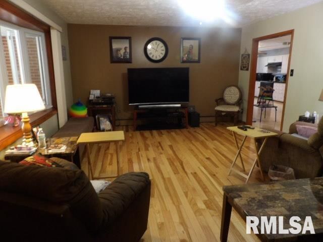 736 N MILL Street, Carrier Mills, IL 62917
