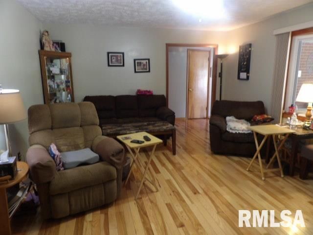 736 N MILL Street, Carrier Mills, IL 62917