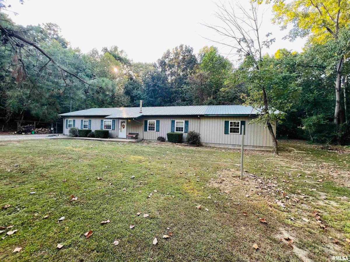 25001 W Old Salt Trail, Stonefort, IL 62987