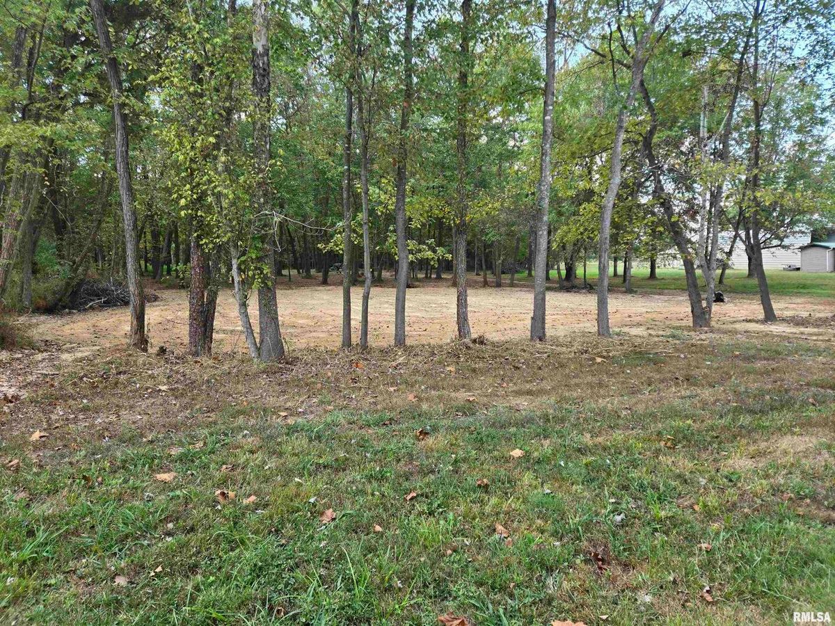 Lot 4 NORMAN Road, Marion, IL 62959