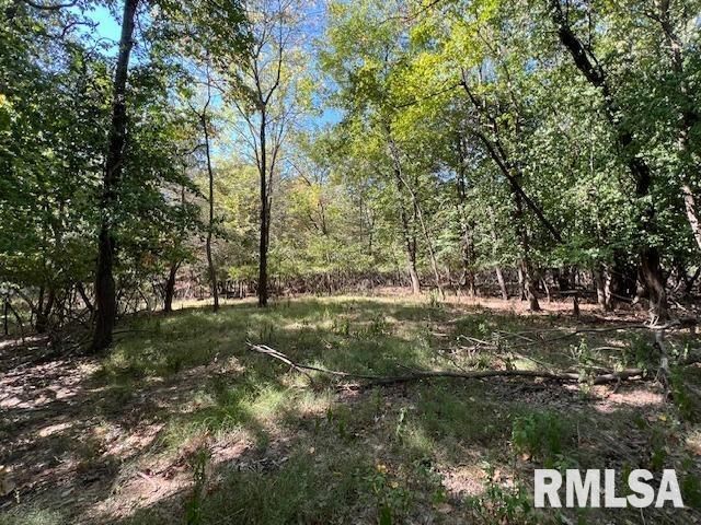000 Barnett Street — Carterville, IL 62918