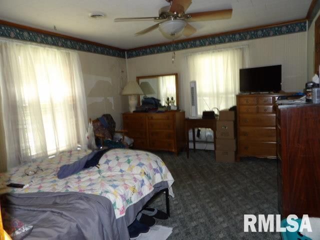205 W WASHINGTON Street, Carrier Mills, IL 62917