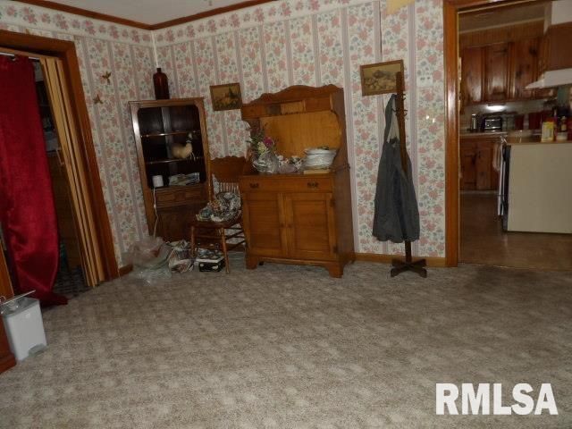 205 W WASHINGTON Street, Carrier Mills, IL 62917