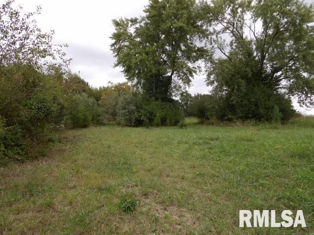 ooo MOORE Street, Eldorado, IL 62930