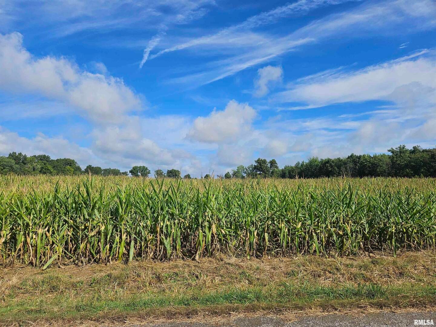 0000 N COUNTY LINE Road — Ina, IL 62846