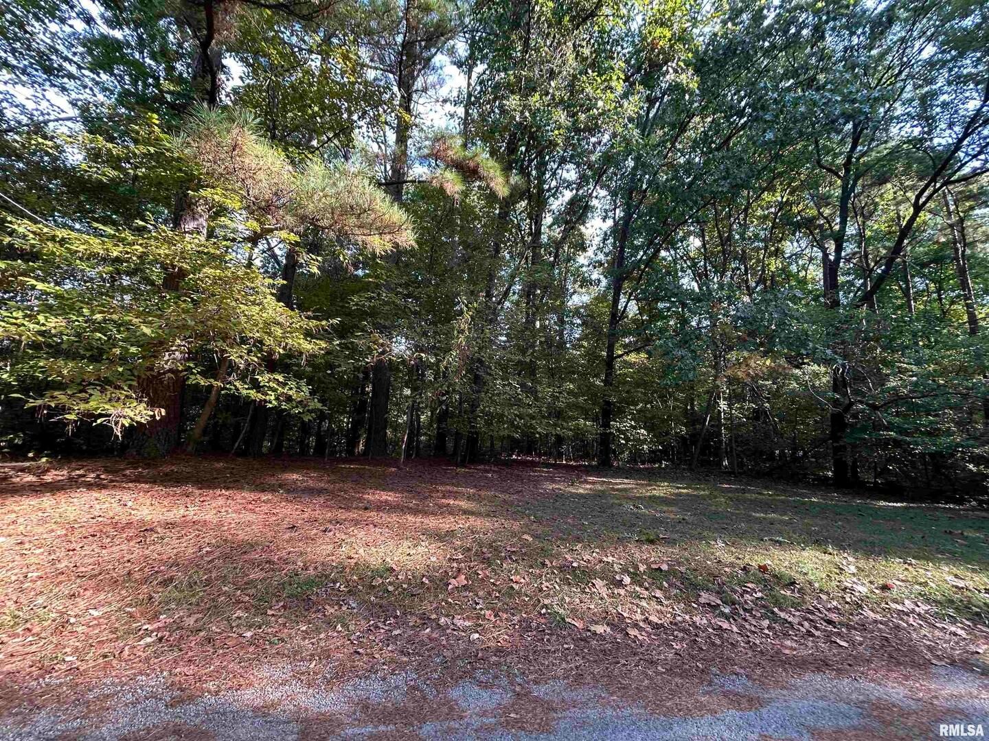 Lot 6 May Apple Lane — Carbondale, IL 62903