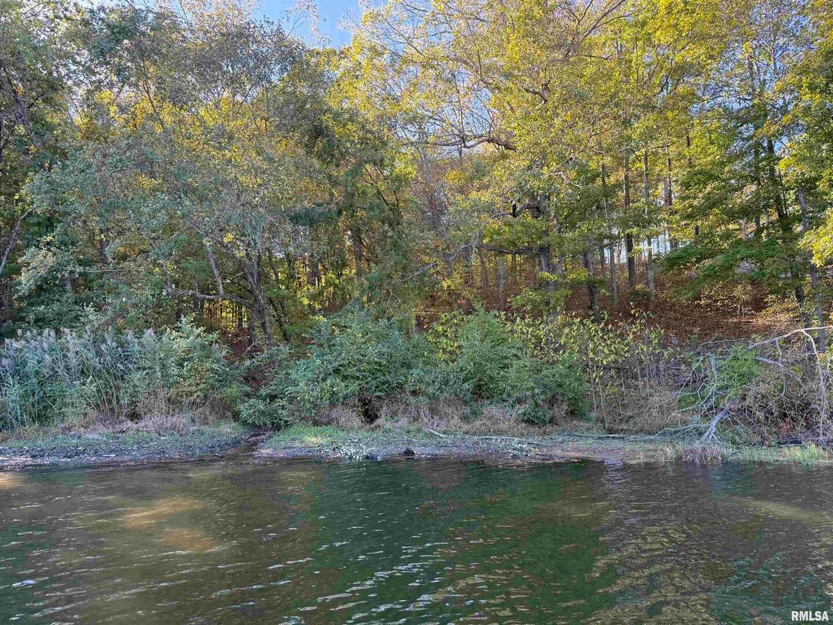 000 Clifty Lane, Goreville, IL 62939