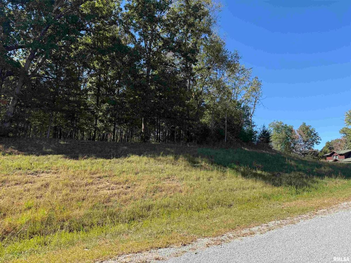 0000 Clifty Lane, Goreville, IL 62939
