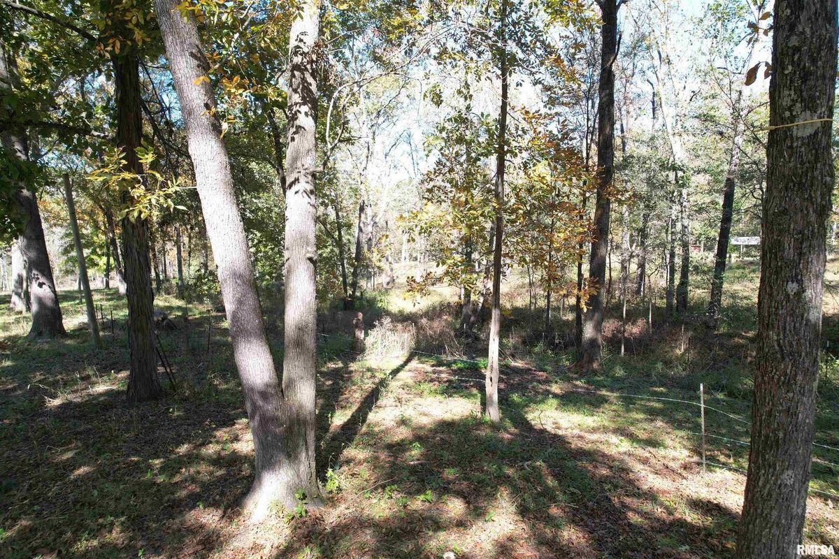 000 Lusk Road, Golconda, IL 62938