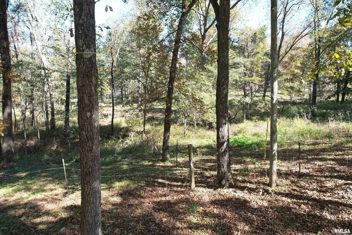 000 Lusk Road, Golconda, IL 62938