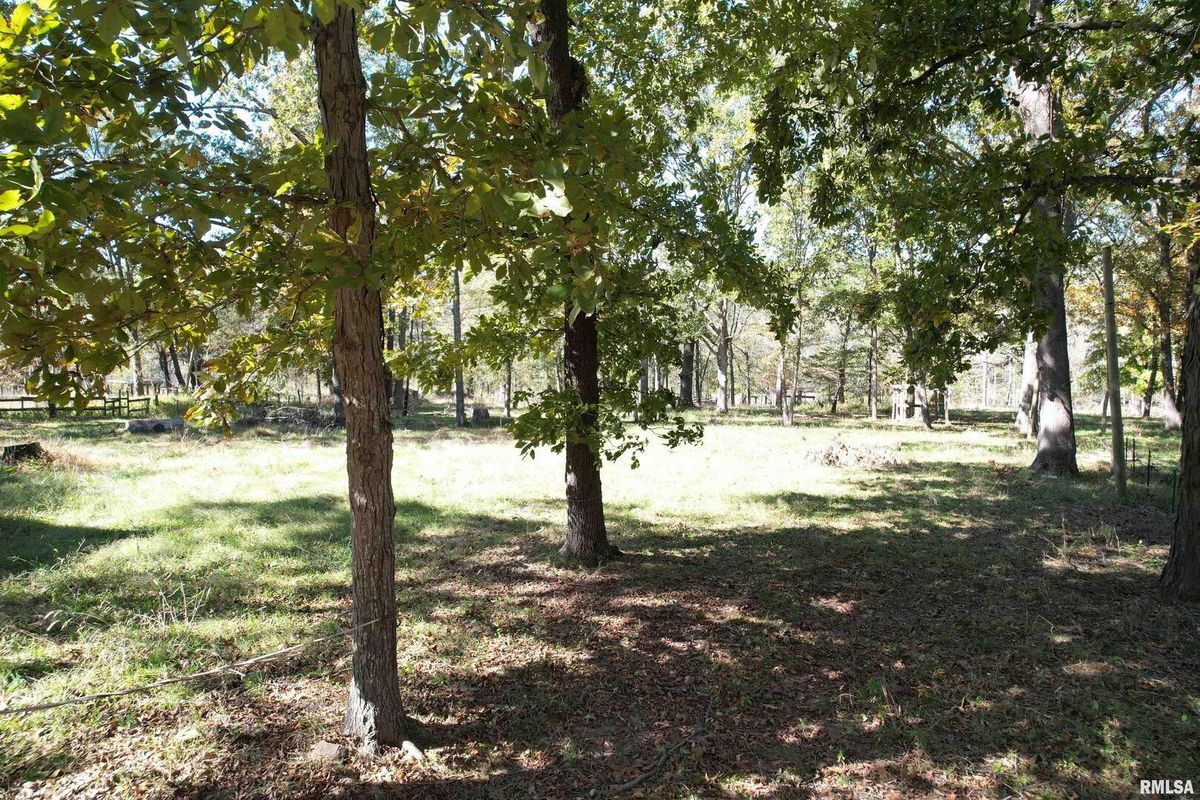 000 Lusk Road, Golconda, IL 62938