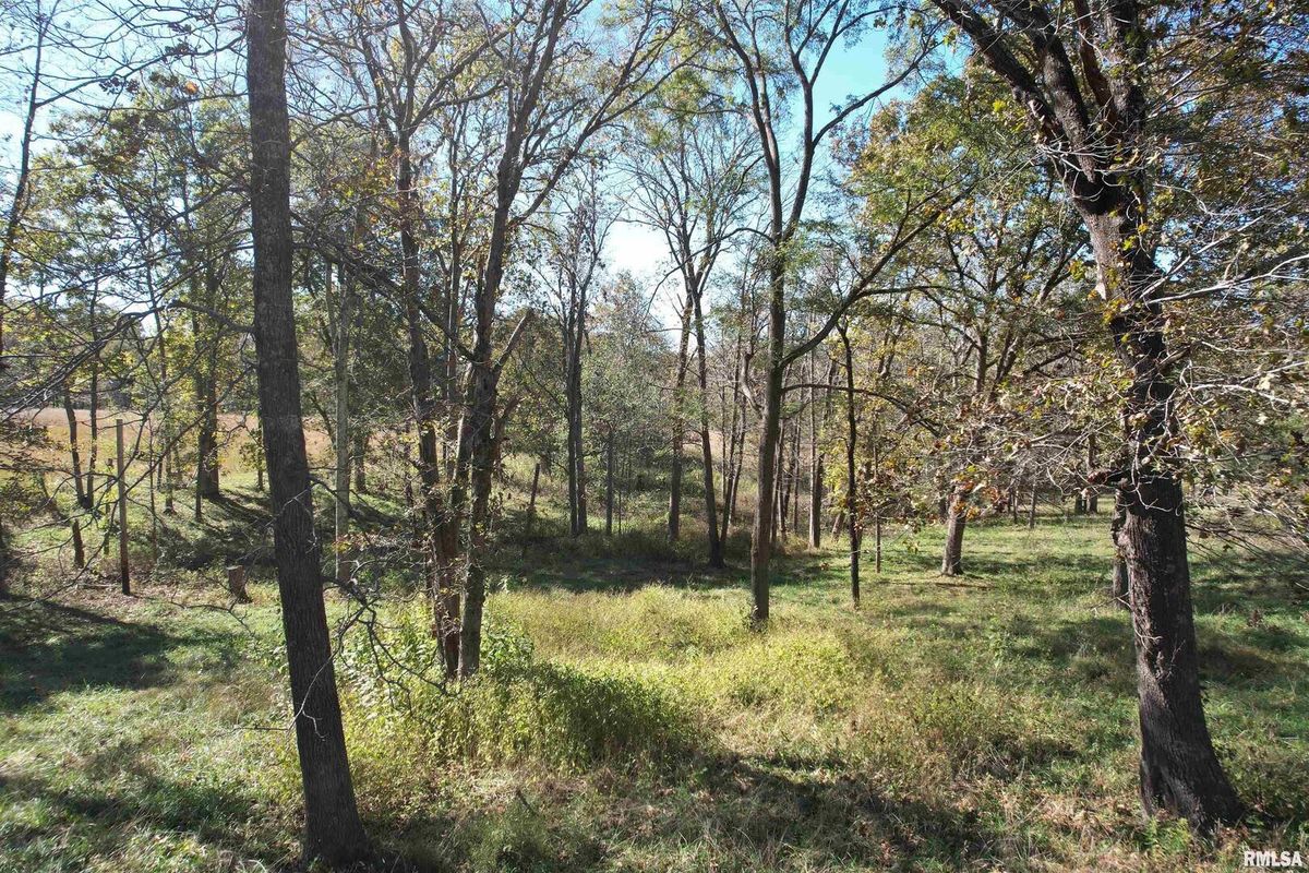000 Lusk Road, Golconda, IL 62938