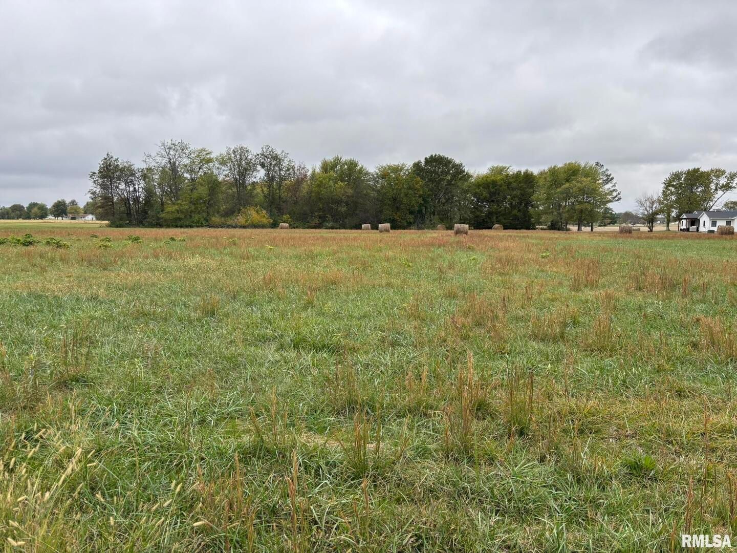 1200 Block Roddy Road — Salem, IL 62881