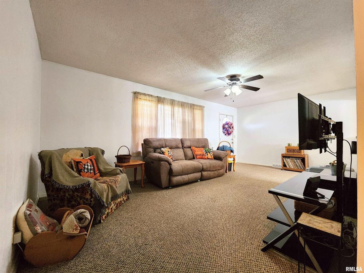 355 CHESTNUT Street, Alto Pass, IL 62905