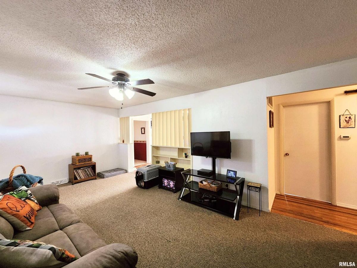 355 CHESTNUT Street, Alto Pass, IL 62905