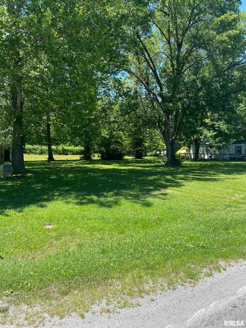 101 POPLAR Street, Desoto, IL 62924