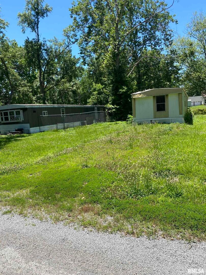 101 POPLAR Street, Desoto, IL 62924