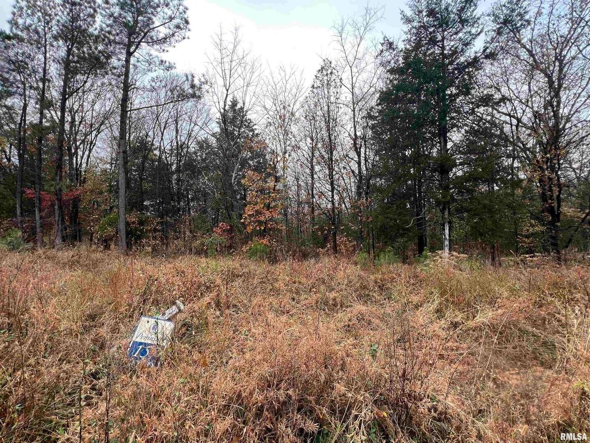 Lot 157 Parrish Ridge Lane, Goreville, IL 62939