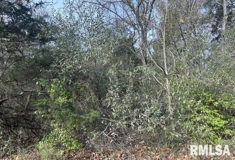 Lot 177 SYCAMORE Street — Goreville, IL 62939