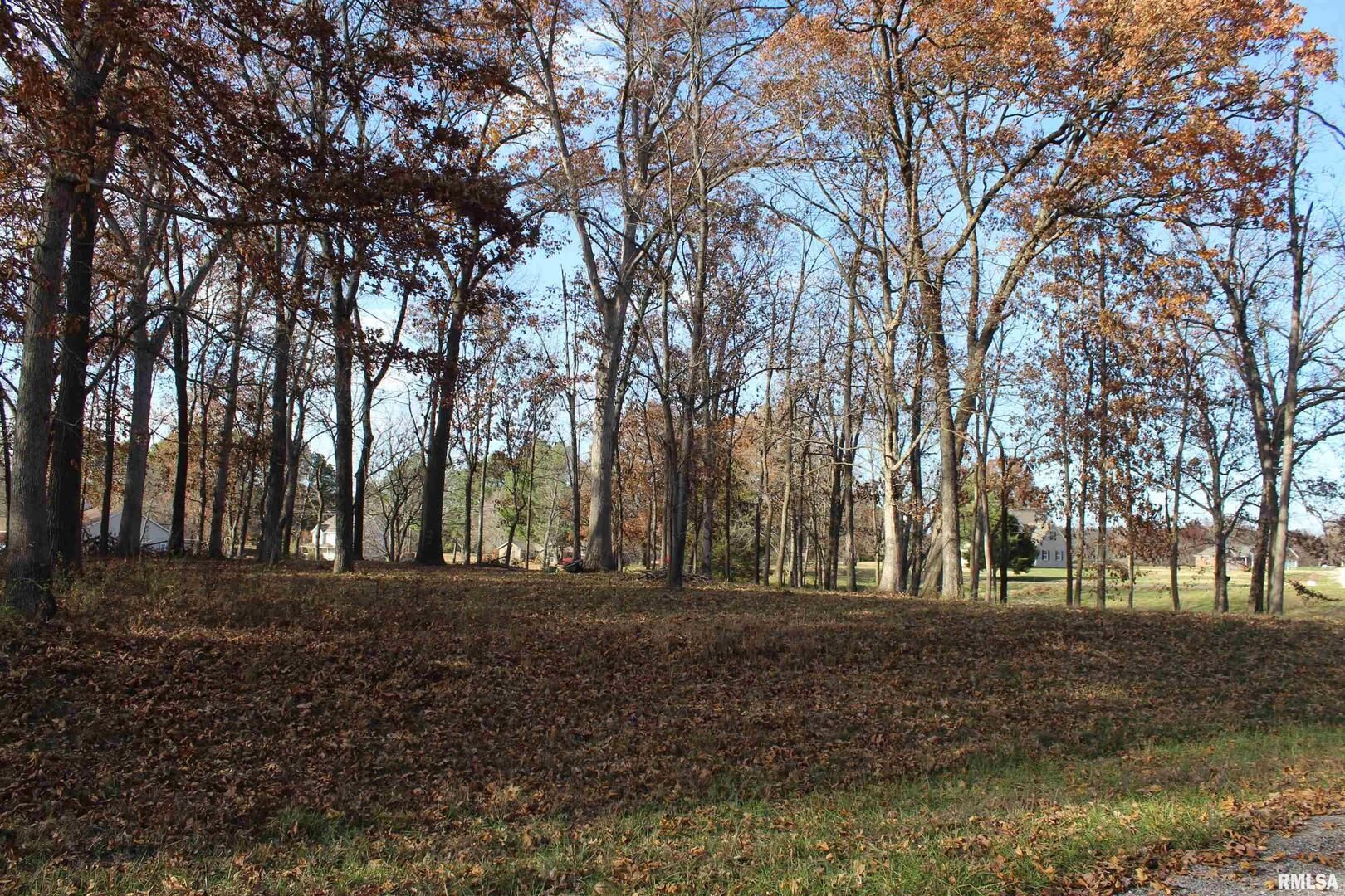 000 Birdie Drive — Mt Vernon, IL 62898