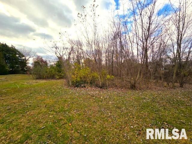 155 E 4TH Street, Bonnie, IL 62816