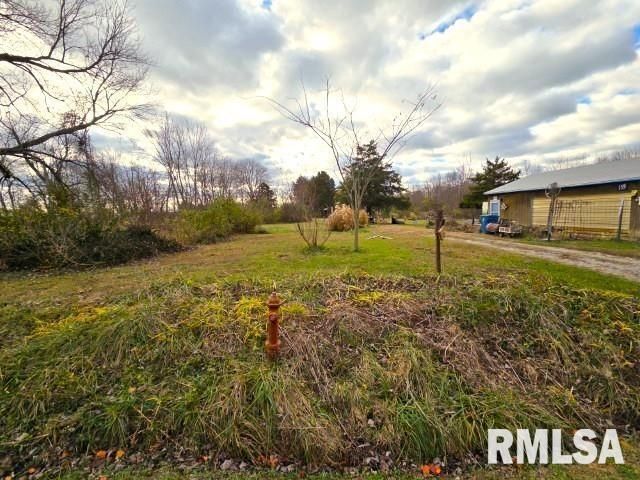 155 E 4TH Street, Bonnie, IL 62816