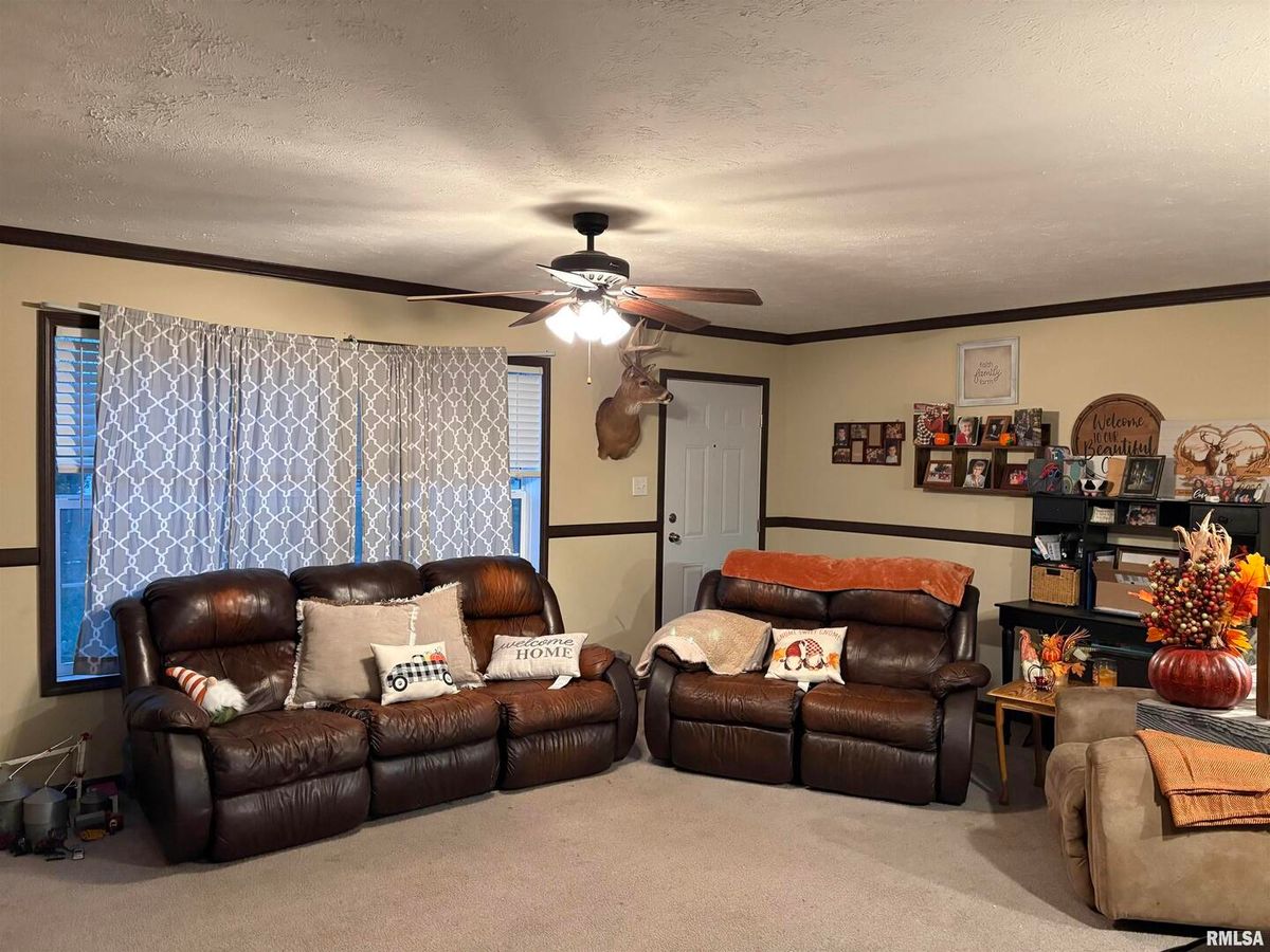 6874 White Walnut Rd Road, Pinckneyvi, IL 62274