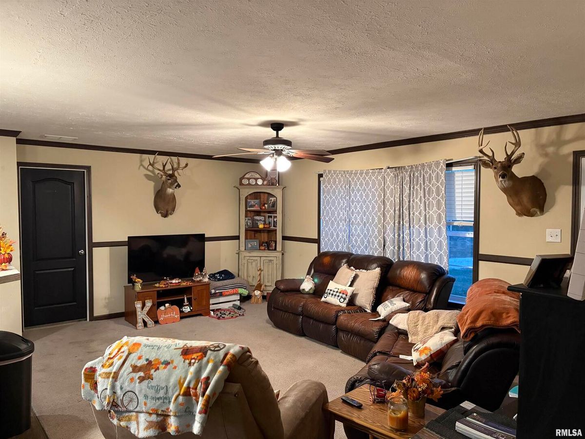 6874 White Walnut Rd Road, Pinckneyvi, IL 62274