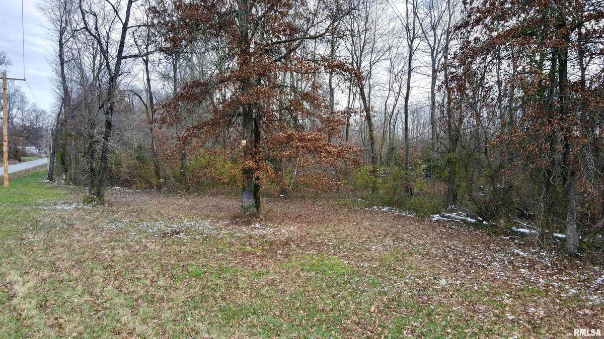 10200 COUNTRY CLUB Road, West Frankfort, IL 62896