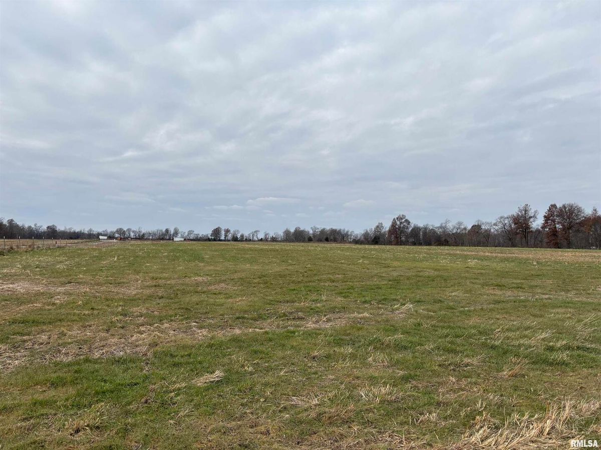 0000 Puckett Lane, Mt Vernon, IL 62864