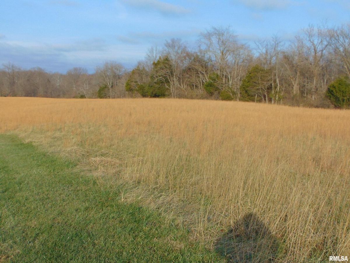 44 Budd Road, Alto Pass, IL 62905