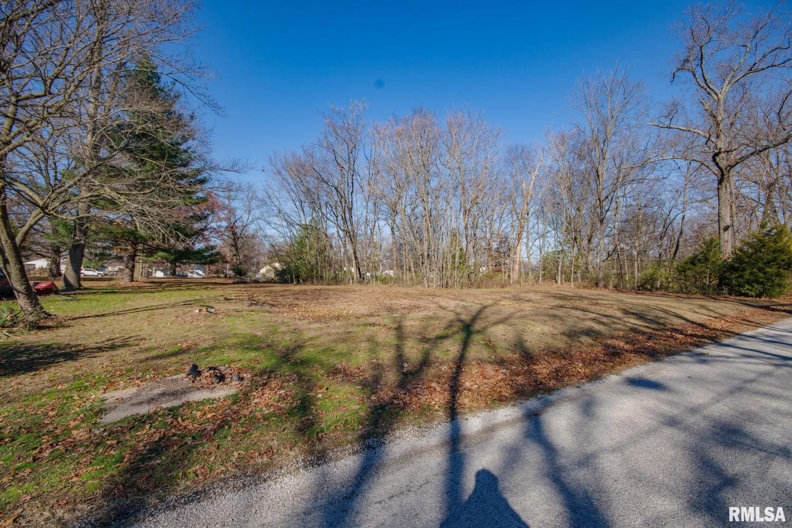 Lots OAK PARK Road — Salem, IL 62881
