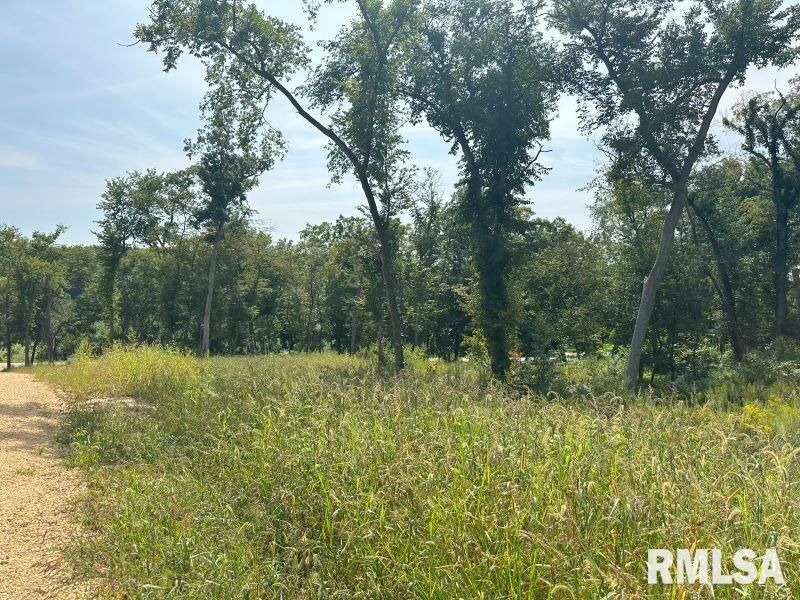 Lot 1 225TH Street — De Witt, IA 52742