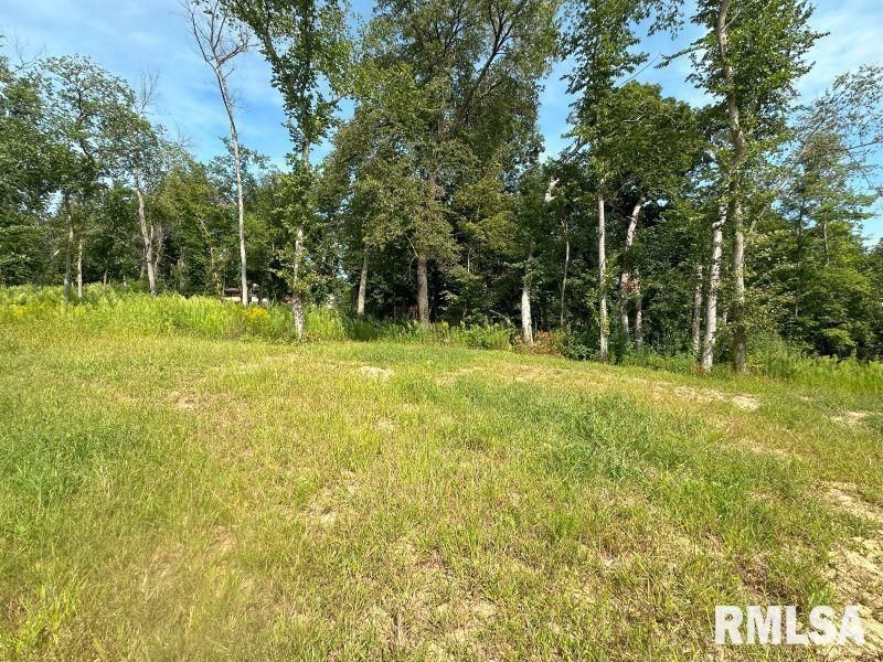 Lot 2 225TH Street, Dewitt, IA 52742