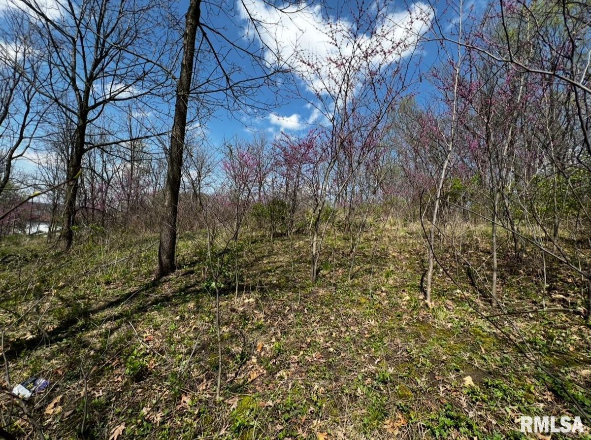 LOT 201 JAMES Street, Port Byron, IL 61256