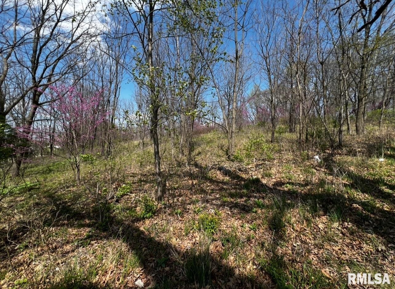 LOT 201 JAMES Street — Port Byron, IL 61256