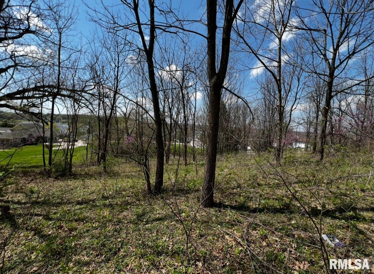 LOT 201 JAMES Street, Port Byron, IL 61256