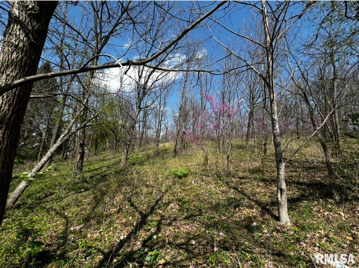 LOT 201 JAMES Street, Port Byron, IL 61256