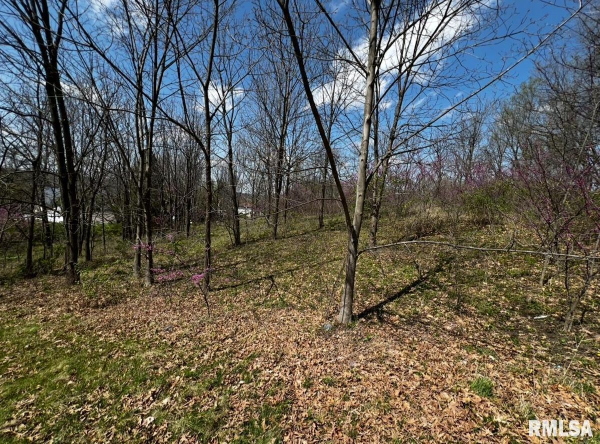 LOT 201 JAMES Street, Port Byron, IL 61256