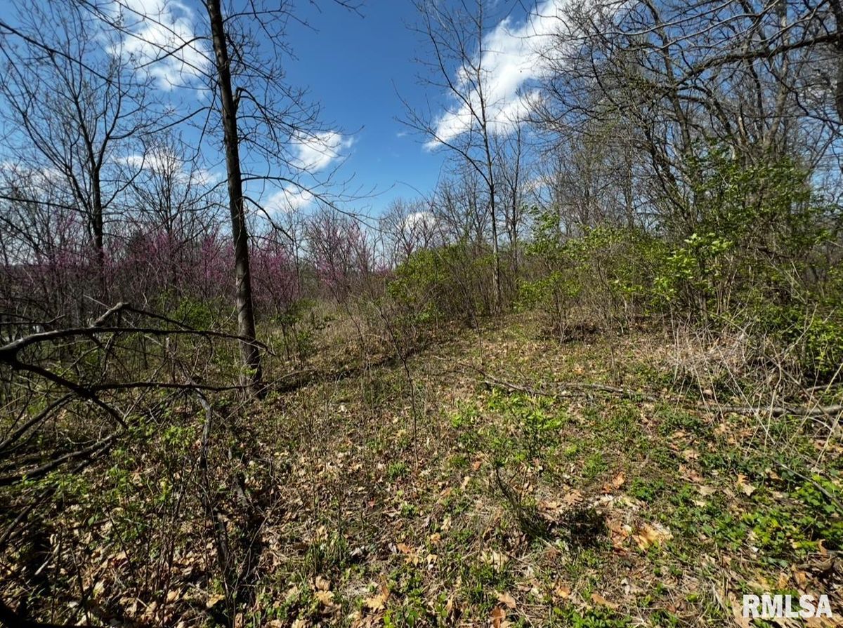 LOT 201 JAMES Street, Port Byron, IL 61256
