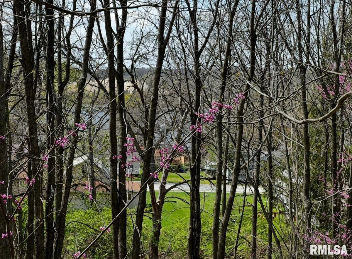 LOT 201 JAMES Street, Port Byron, IL 61256