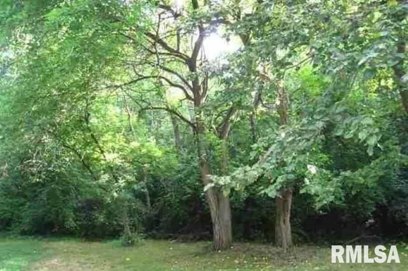 Lot 14 Deer Hill Road, Pleasant Valley, IA 52767