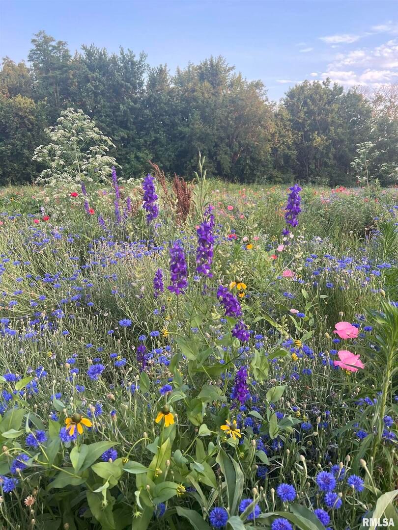 114 BROADWAY Street, Charlotte, IA 52731