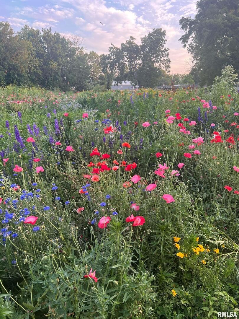 114 BROADWAY Street, Charlotte, IA 52731