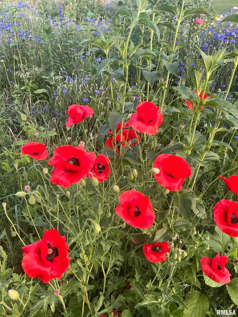 114 BROADWAY Street, Charlotte, IA 52731